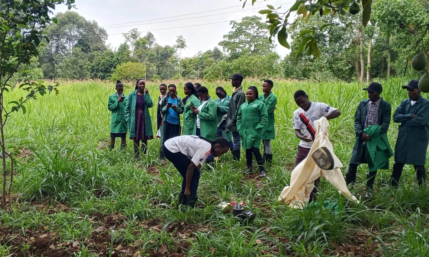 Agriculture & Environmental Studies